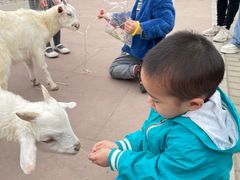 -太阳岛度假酒店