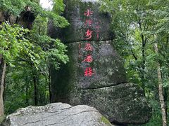 -汤旺河林海奇石景区