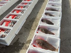 -好礼家海鲜•海肠捞饭大王(金沙滩念慈别墅店)