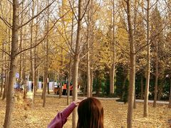 -汉景帝阳陵博物院