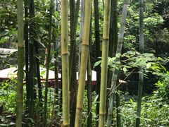 -广州市白云山风景名胜区