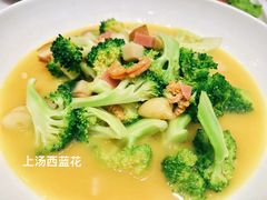 -丁老爷子苏香圆