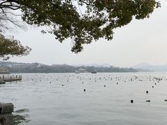 -西湖游船