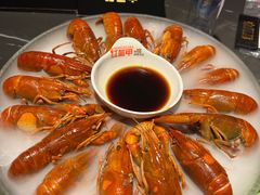-红盔甲·小龙虾(人民广场店)