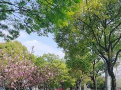 -南京奥林匹克体育中心