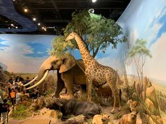 -陕西自然博物馆