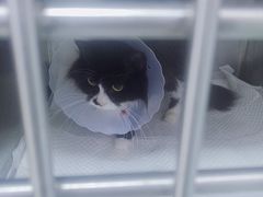 -宠颐生中康贝怡动物医院