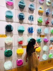 -乐高授权专卖店(朝阳大悦城店)