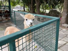 -宁波野生动物园
