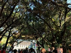 -南岳衡山风景名胜区-南岳大庙