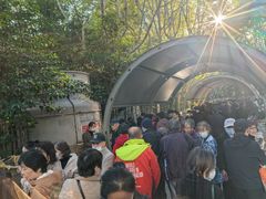 -人民公园-相亲角