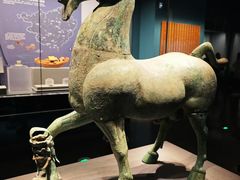 -广西壮族自治区博物馆