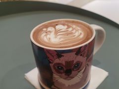 -飞行喵MR PILOT|猫舍·猫咖(静安大融城店)