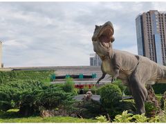 -陕西自然博物馆