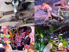 -正佳雨林生态植物园