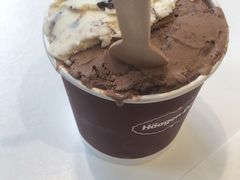 -哈根达斯(龙湖时代天街店)