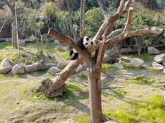 -宁波野生动物园