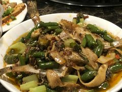 -鸿顺老铁锅美蛙鱼府(解放碑店)