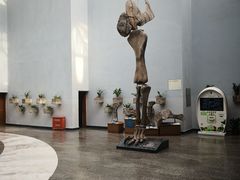 -自贡恐龙博物馆