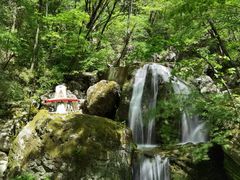 -牛背梁国家森林公园