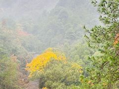 -大慈岩风景区