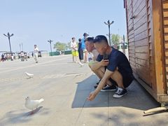 -天津妈祖文化园