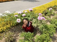 -南通濠河风景名胜区