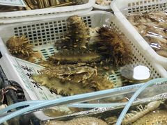 -旺角小渔村(二马路店)