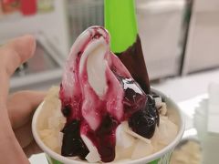 -Salud撒露欧洲冻酸奶(五道口购物中心店)