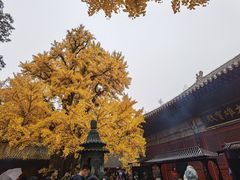 -红螺寺