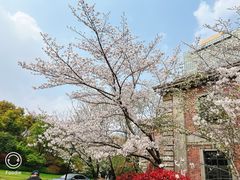 -梦菲思饼屋(瑞金宾馆店)