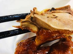 -鸽王世家(东华东路店)
