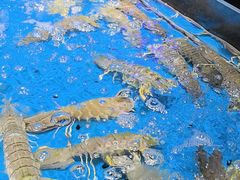 -徐记海鲜(大雁塔|金都店)