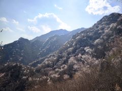 -北京凤凰岭