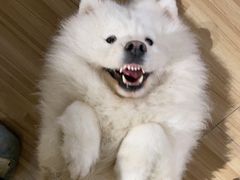 -喵小馆·猫咖狗咖猪咖·饮品店