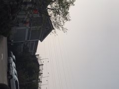 -老幺泉水鸡