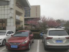 -泰安东尊华美达广场酒店(泰山景区店)