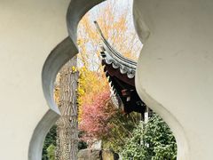 -虎丘山风景名胜区