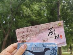 -自然谷恐龙园