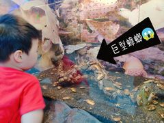-上海大自然野生昆虫馆(东方明珠·爬宠昆虫探索中心)