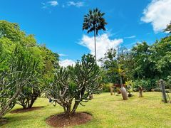 -中国科学院西双版纳热带植物园