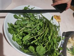 潮汕西洋菜-汕头八合里海记牛肉店(清河店)