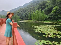 -广州市石门国家森林公园