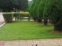 -大嶝英雄三岛战地观光园