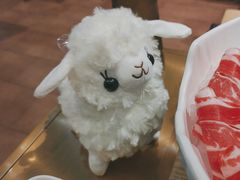 -百草滩羊清水涮羊肉(长城路店)
