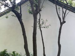 -汇龙潭