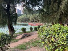 -丁香湖公园
