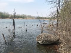 -淇河国家湿地公园