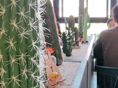 -李先生的首尔小馆(松江启源广场店)