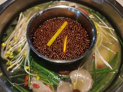 -枇杷园食为鲜火锅(南山店)